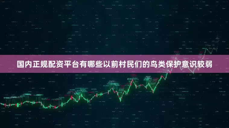 国内正规配资平台有哪些以前村民们的鸟类保护意识较弱