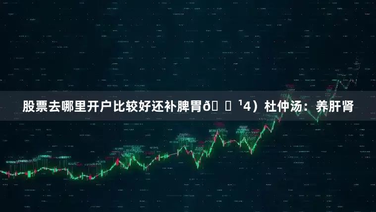 股票去哪里开户比较好还补脾胃🌹4）杜仲汤：养肝肾